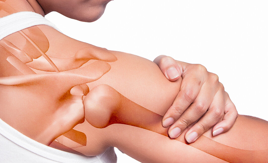 Qu&rsquo;est ce que la Physiothérapie?